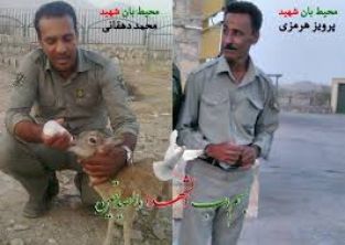 شهادت دو سرباز دفاع از طبیعت