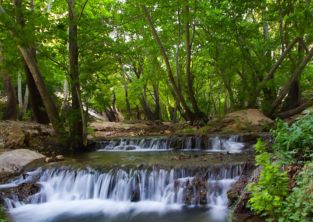 جاذبه های دیدنی خارج از شیراز