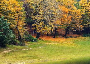 ذخیره گاه های زیست کره 