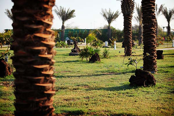 هتل ترنج کیش