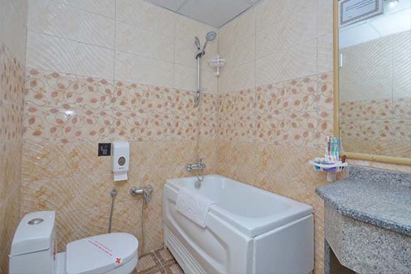 هتل پارک سعدی