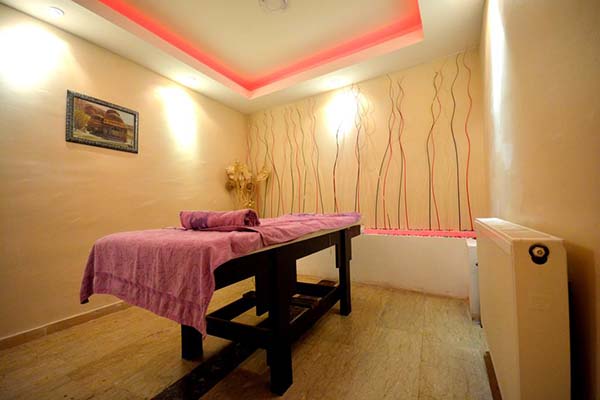 هتل Dimet Park Hotel van