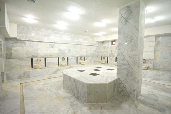 هتل Dimet Park Hotel van