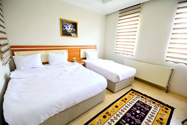 هتل Dimet Park Hotel van
