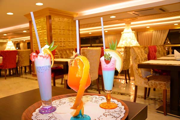 هتل Haldi Hotel van 