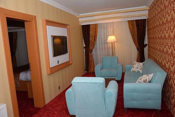 هتل Haldi Hotel van 