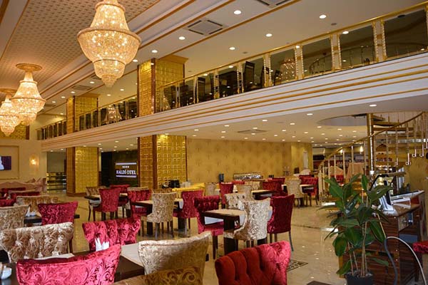 هتل Haldi Hotel van 