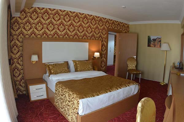 هتل Haldi Hotel van 