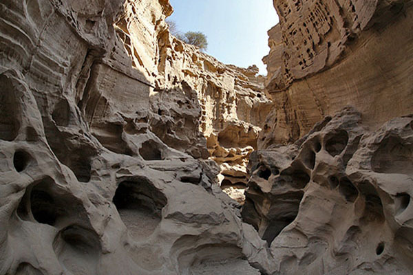تور قشم
