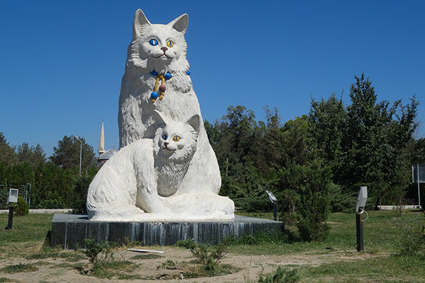 تور وان